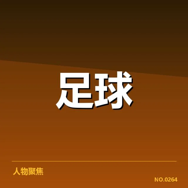 已完成的德甲球场建设项目列表